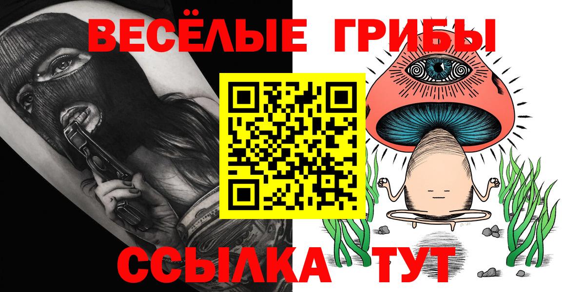 Лесной  Галлюциногенные грибы прущие грибы  Вход с VPN 